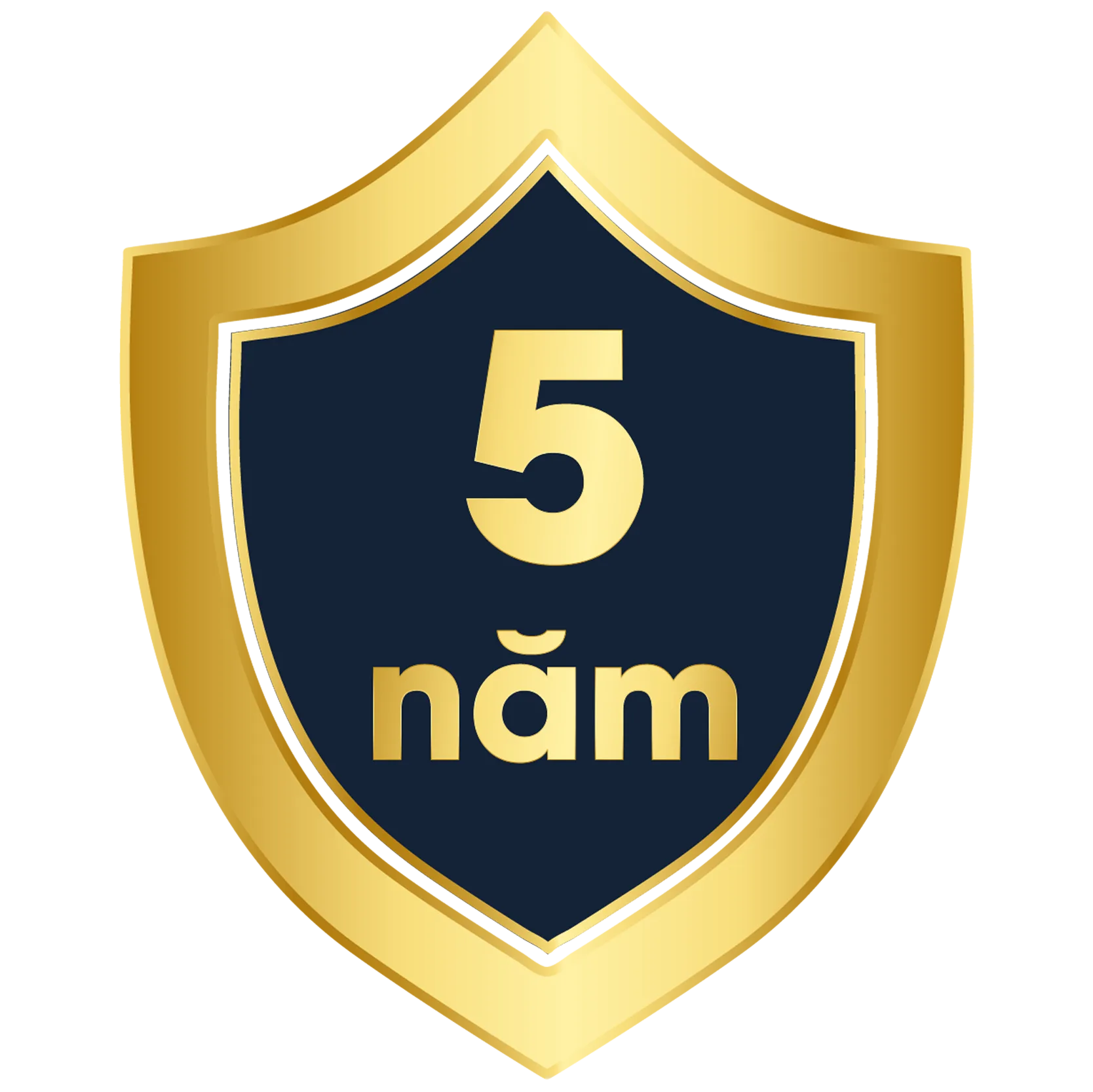 Kính Rayban OBR 3565